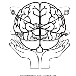 Brain and Strock care