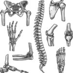 Spine and Joint Care